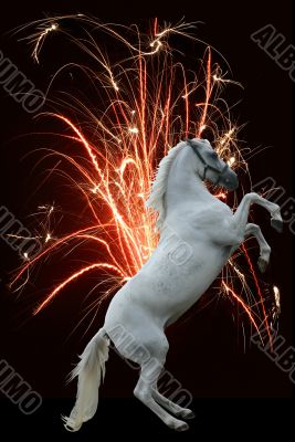 Horse fireworks