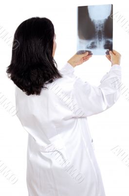 doctor examining a radiographs