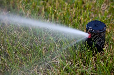 sprinkler watering