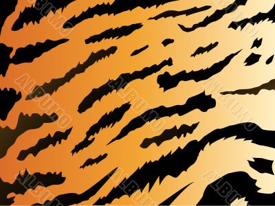 tiger stile background tiger stile background