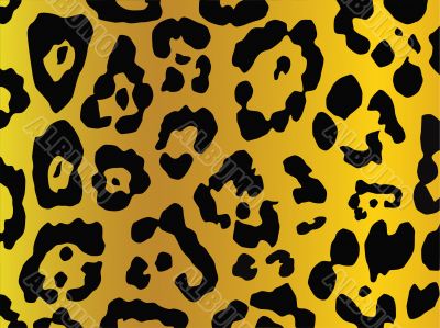 leopard stile background