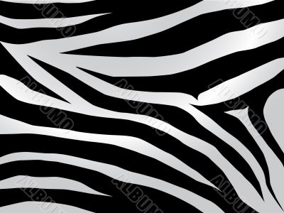 zebra design