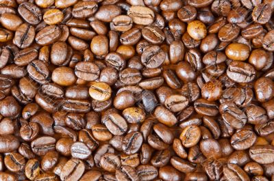 Coffee beans