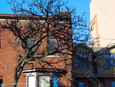 Colored walls of downtown 2