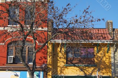 Colored walls of downtown 1