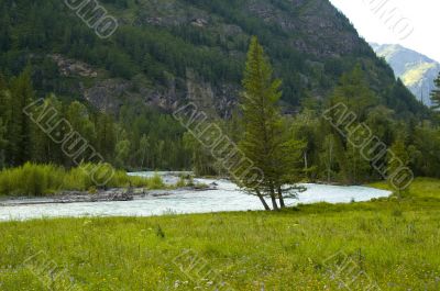 River through Altay mountain