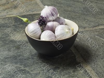 garlic garlic