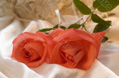 Red rose with silver ribbon