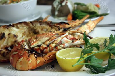 Grilled lobster