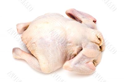 raw chicken on white