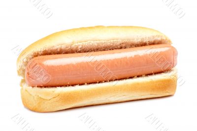 Hot dog Hot dog