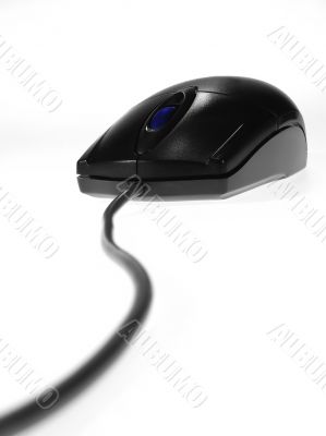 Black mouse Black mouse