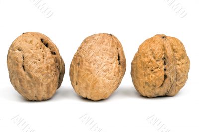 Big nuts Big nuts