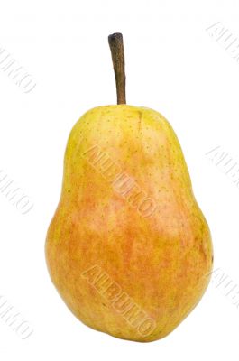 Big pear Big pear
