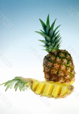 Pineapple