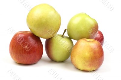Apple Apple