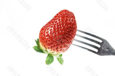 Strawberry Strawberry