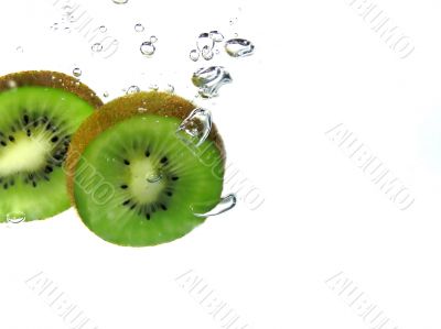 kiwi splashing