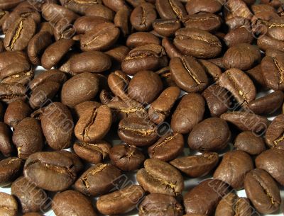 Coffee beans