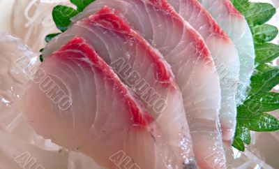 japanese raw fish sashimi