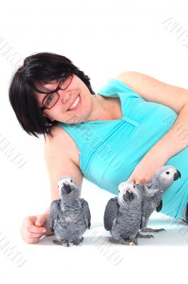 red tale parrot isolated on white kissing with female