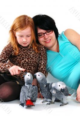 red tale parrot isolated on white with female and girl