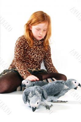 red tale parrot isolated on white with young girl