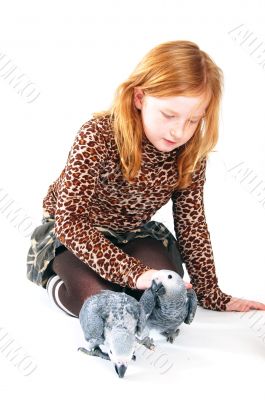 red tale parrot isolated on white and little girl