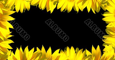 Small petals frame on black Small petals frame on black