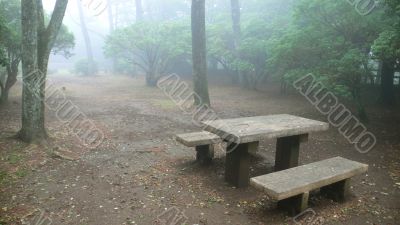 wooden bench in misty park