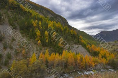 Mountain stream. Mountain stream.