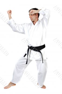 Martial arts stance
