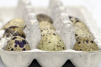 Eggs Eggs