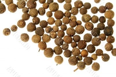 Pepper Pepper