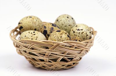 Eggs Eggs