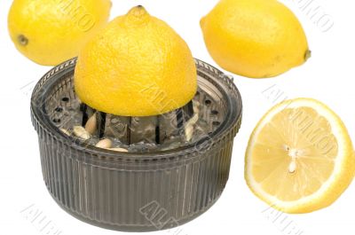 Lemon Lemon