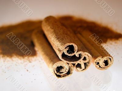 Cinnamon Cinnamon