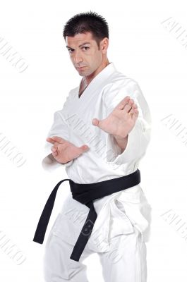 Martial arts stance