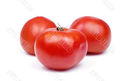 Tomato Tomato