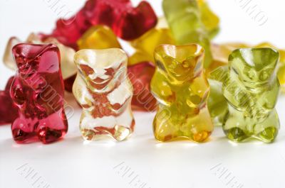 sweet bears sweet bears