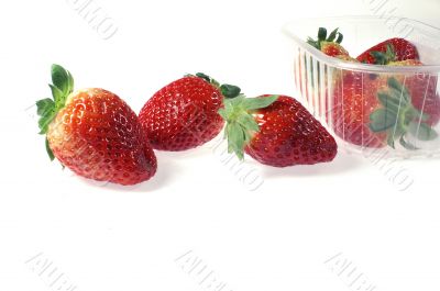 Strawberry Strawberry