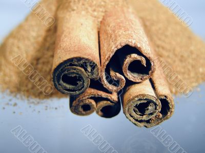 Cinnamon Cinnamon