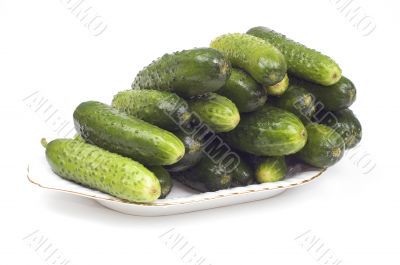 Cucumber Cucumber
