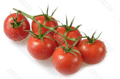 Beautiful Tomatoes