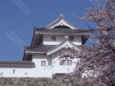 japanese castle in spring-time