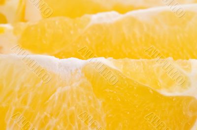 orange segment macro