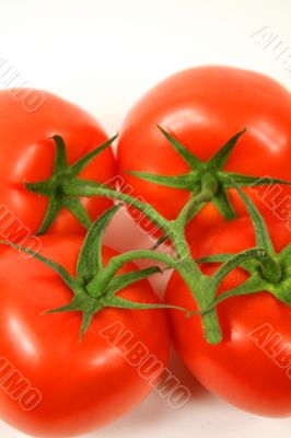 Vine Ripened Tomatoes