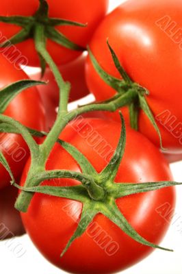 Big Red Vine Ripened Tomato