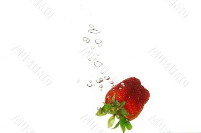 Strawberry splashing Strawberry splashing