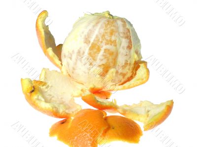 Tangerine Tangerine